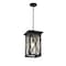 Z-Lite Brookside 1 Light Outdoor Chain Mount Ceiling Fixture, Black And Clear Seedy 583CHB-BK - alternate 5